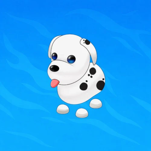 FR Dalmatian