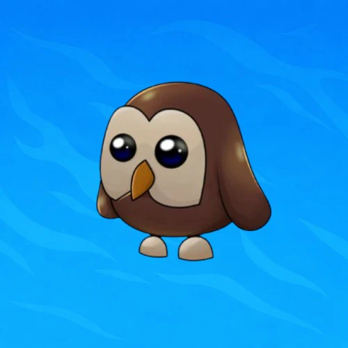 FR Owl